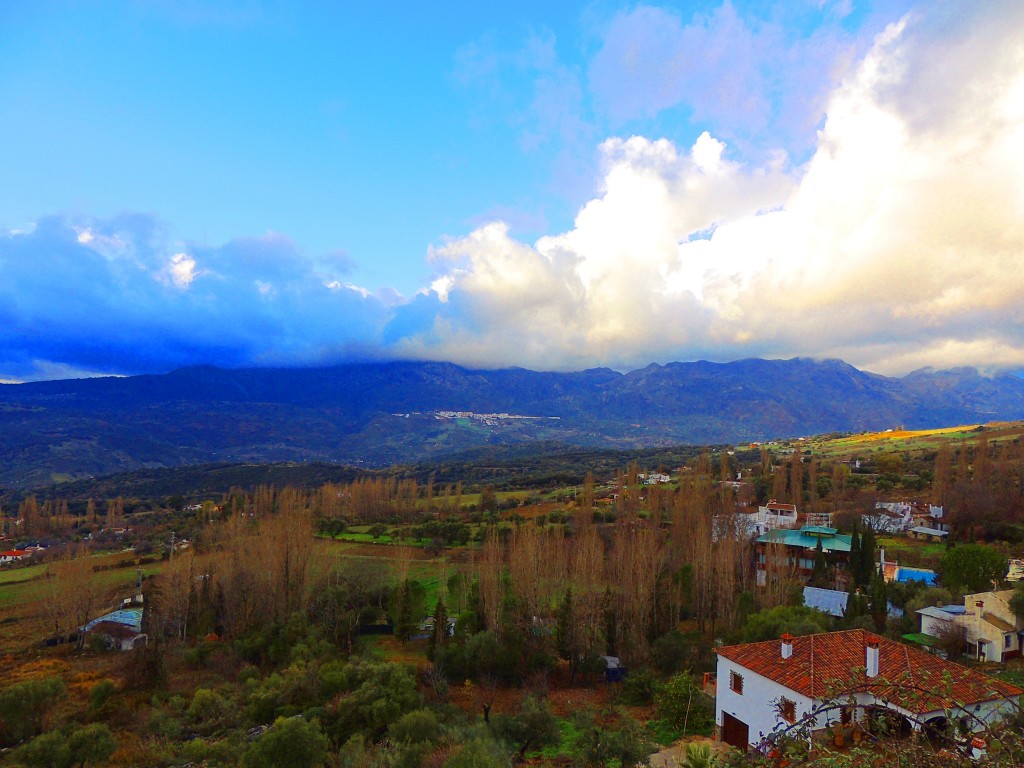 Foto: Vista de Cortes de la fra. - Cortes de la Frontera (Málaga), España