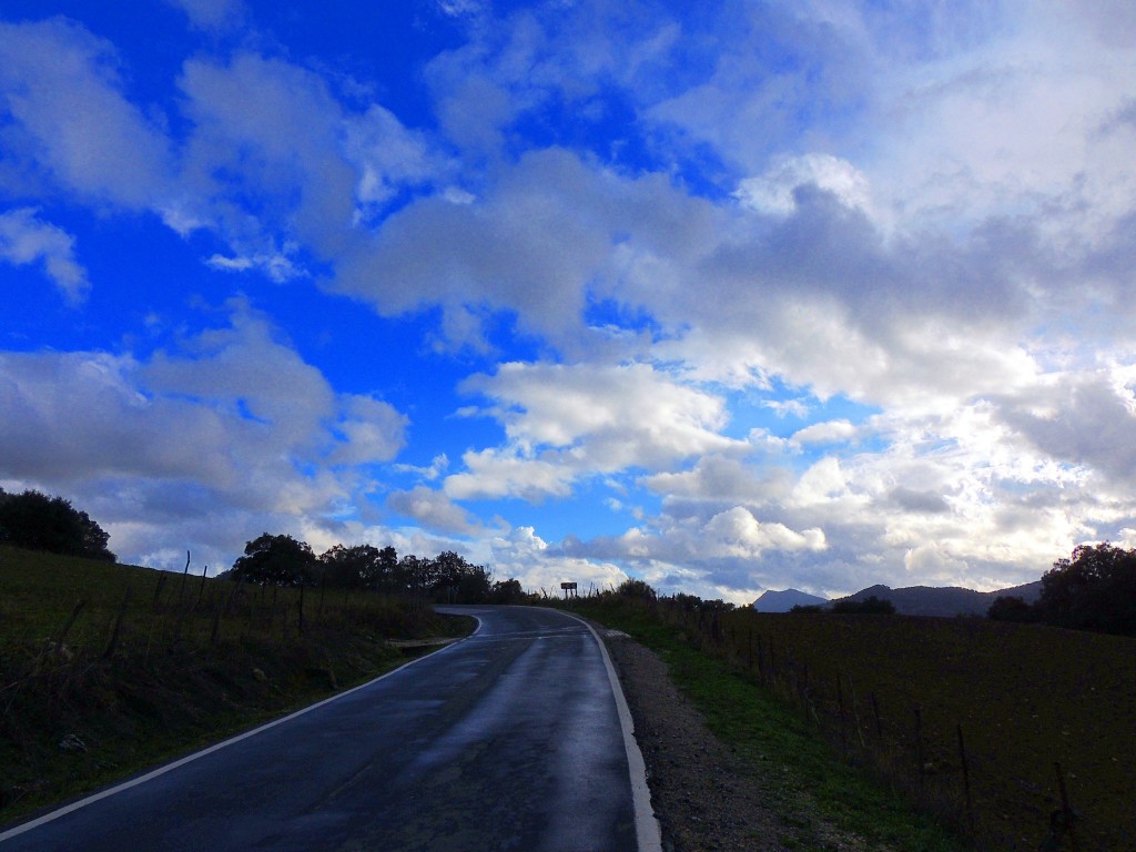 Foto: Carretera a Cortes - Cortes de la Frontera (Málaga), España