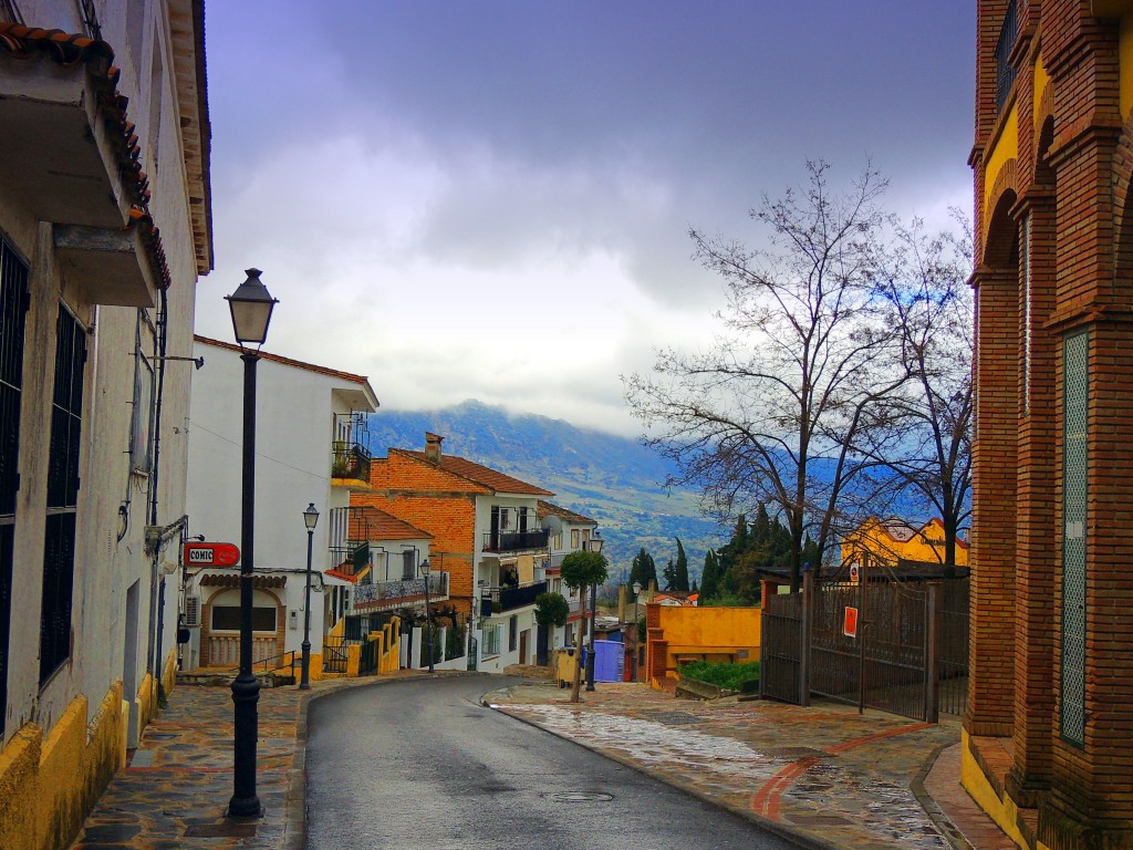 Foto: Paseo de las Acacias - Cortes de la Frontera (Málaga), España