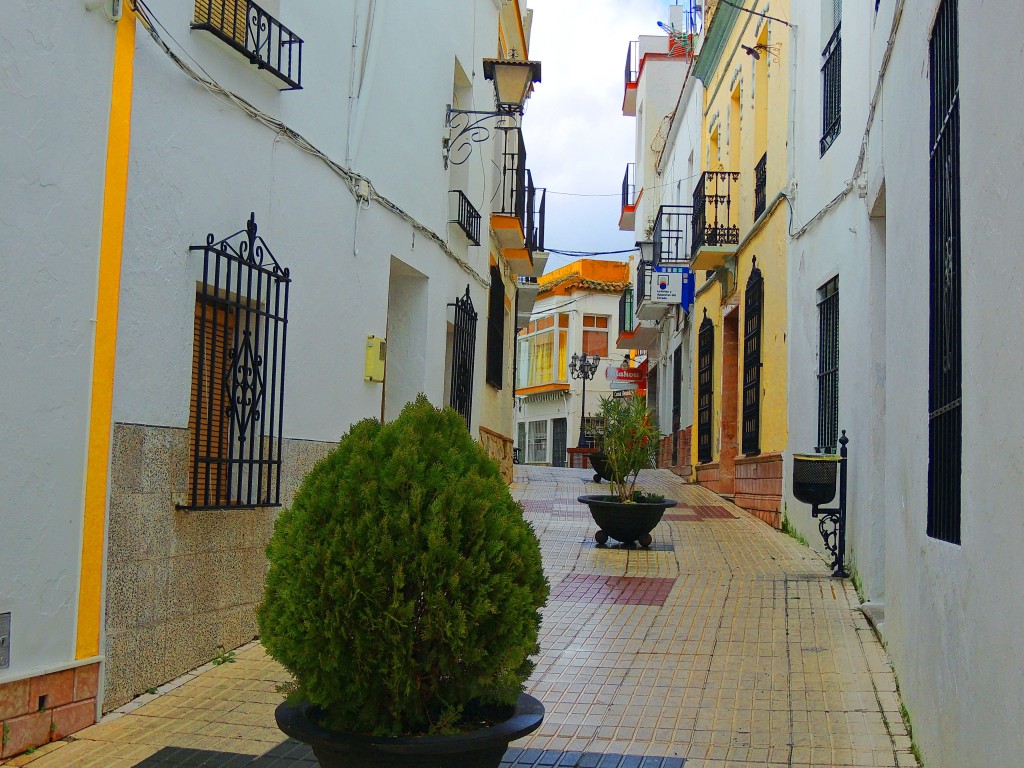 Foto de Cortes de la Frontera (Málaga), España