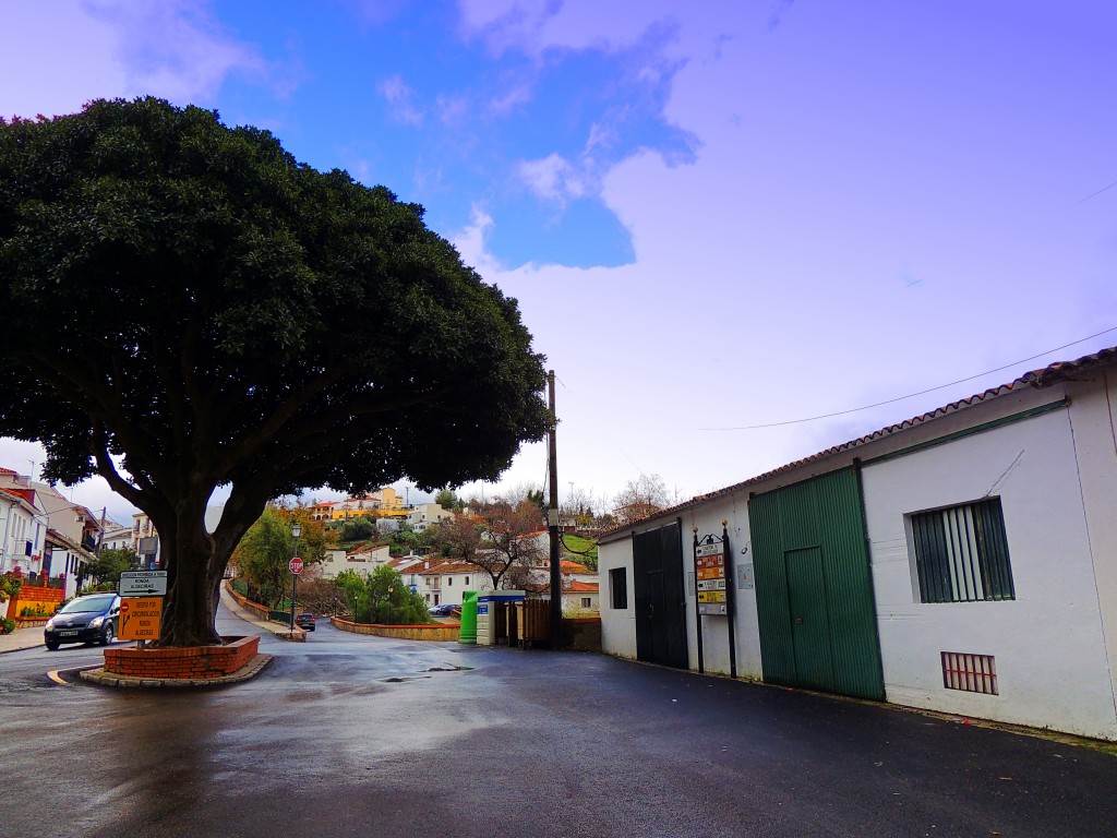 Foto: Circunvalación - Cortes de la Frontera (Málaga), España