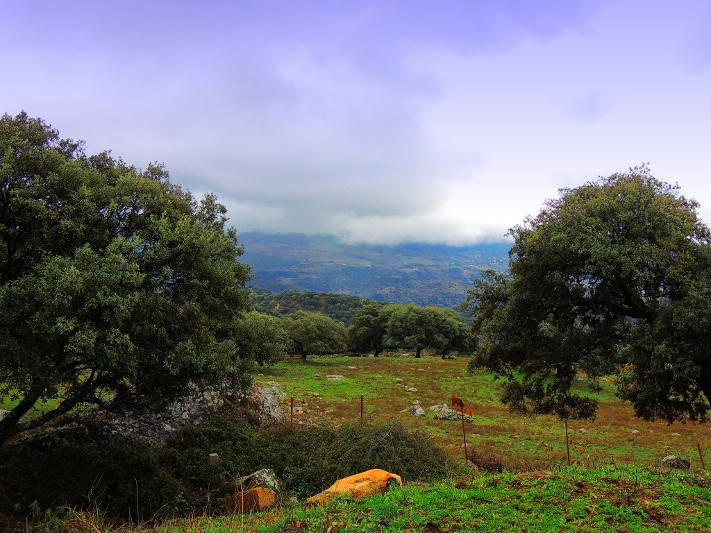 Foto de Cortes de la Frontera (Málaga), España