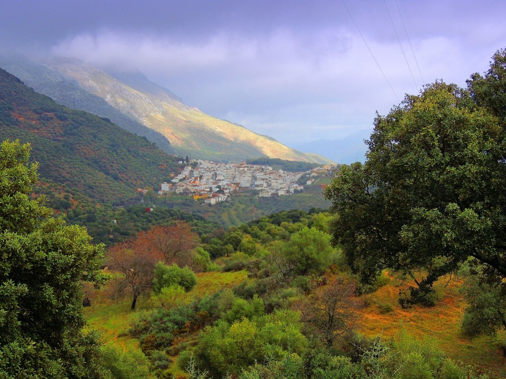 Foto de Cortes de la Frontera (Málaga), España