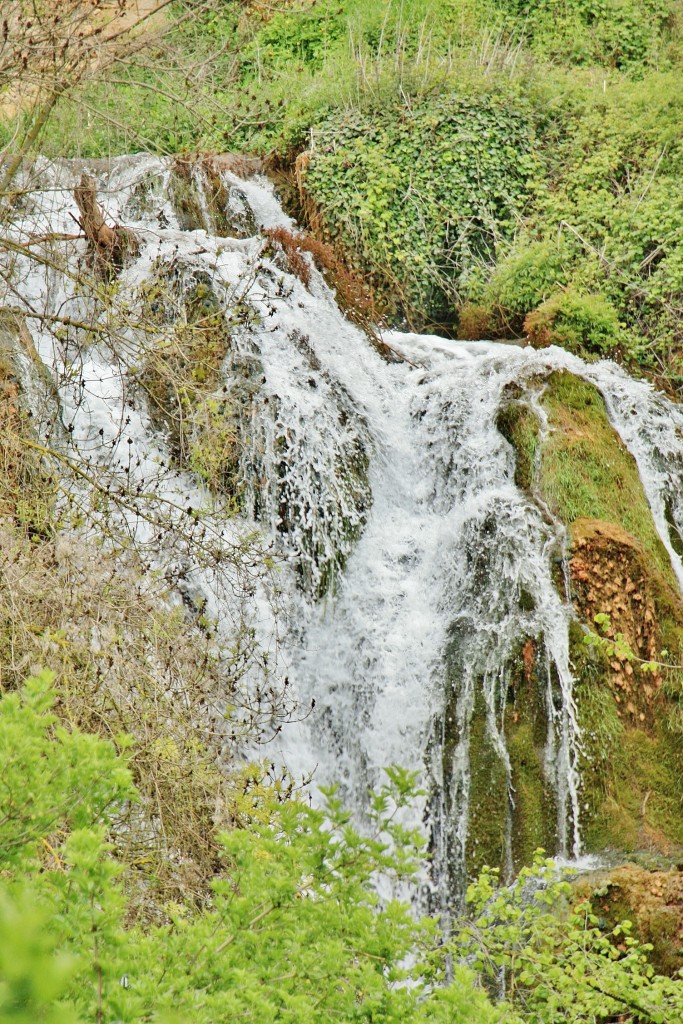 Foto: Rio Homillo - Tubilla del Agua (Burgos), España