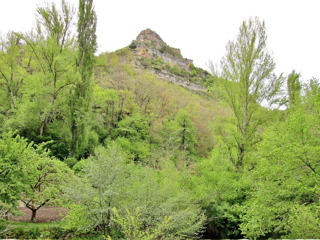 Foto: Vistas desde el pueblo - Valdelateja (Burgos), España