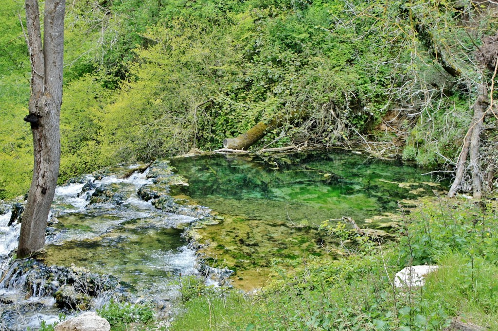 Foto: Arroyo - Orbaneja del Castillo (Burgos), España