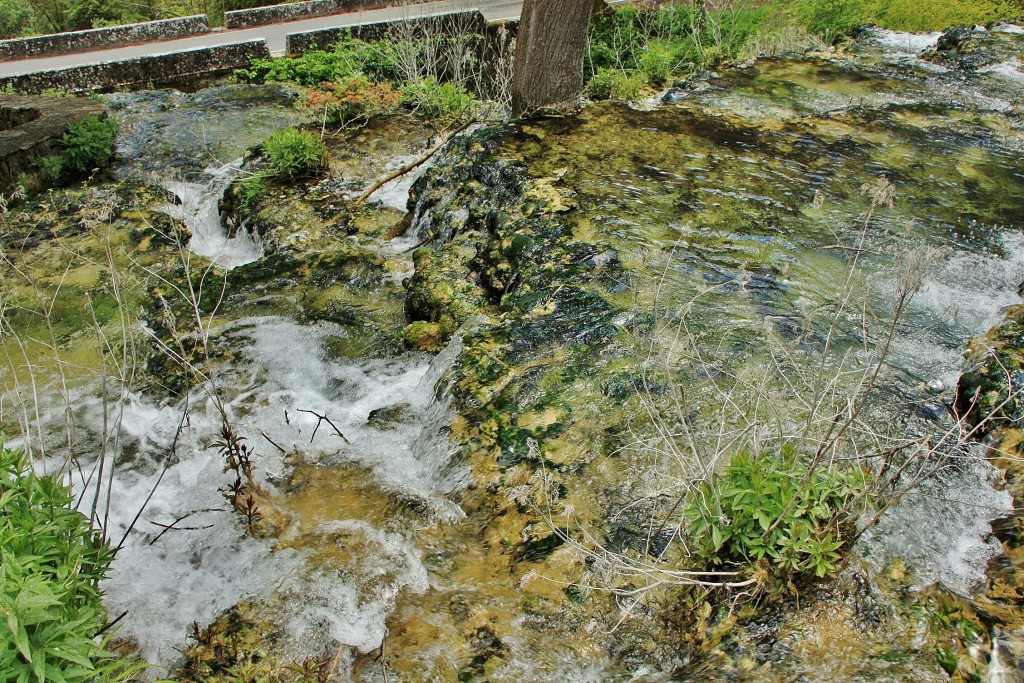 Foto: Arroyo - Orbaneja del Castillo (Burgos), España