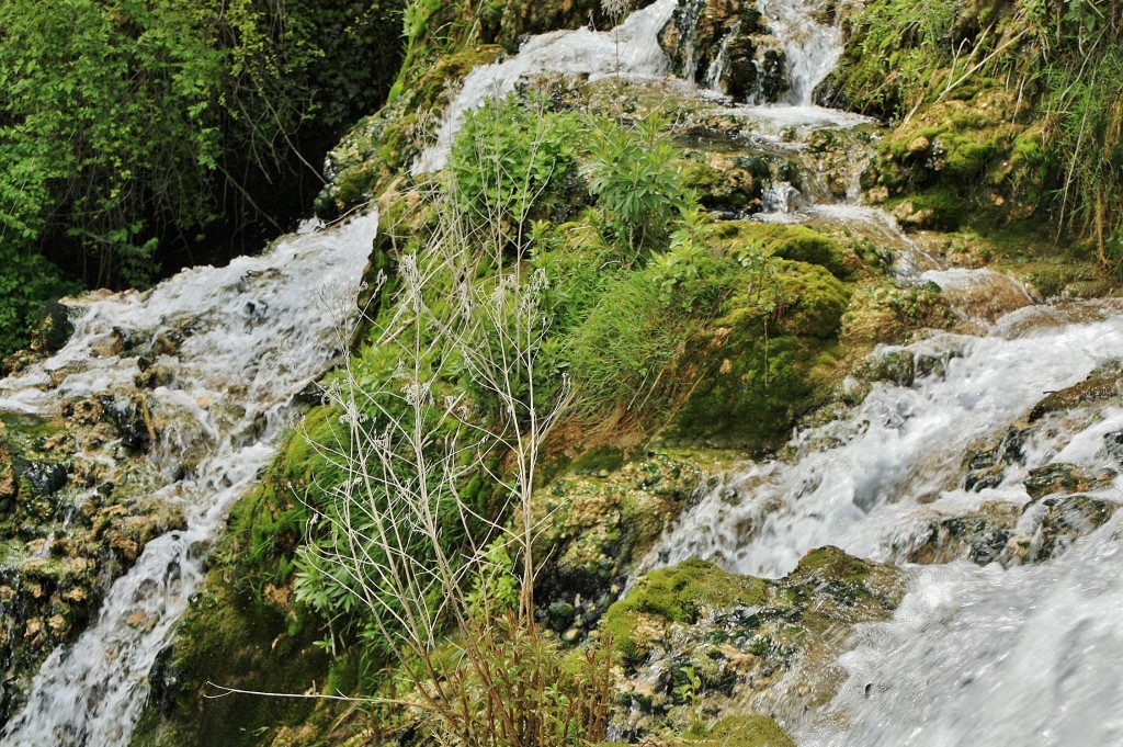 Foto: Arroyo - Orbaneja del Castillo (Burgos), España