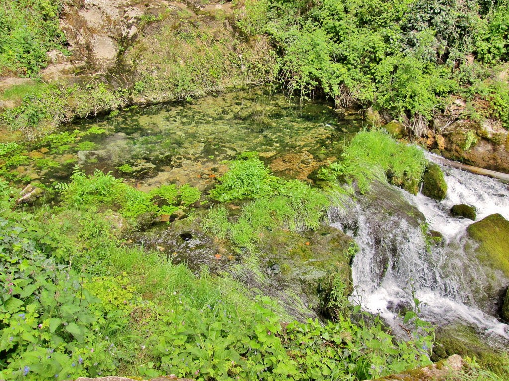 Foto: Arroyo - Orbaneja del Castillo (Burgos), España