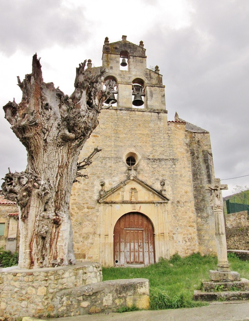 Foto: Centro histórico - Pesquera de Ebro (Burgos), España