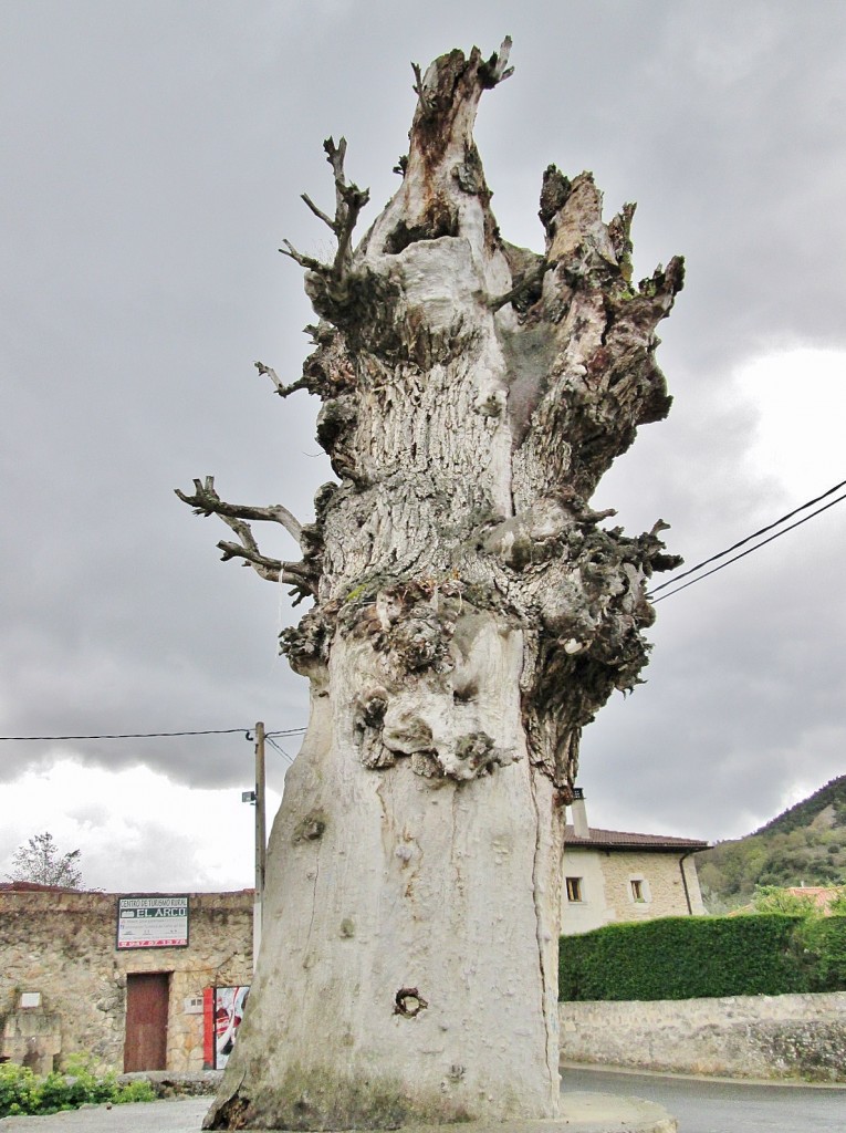 Foto: Gigante dormido - Pesquera de Ebro (Burgos), España