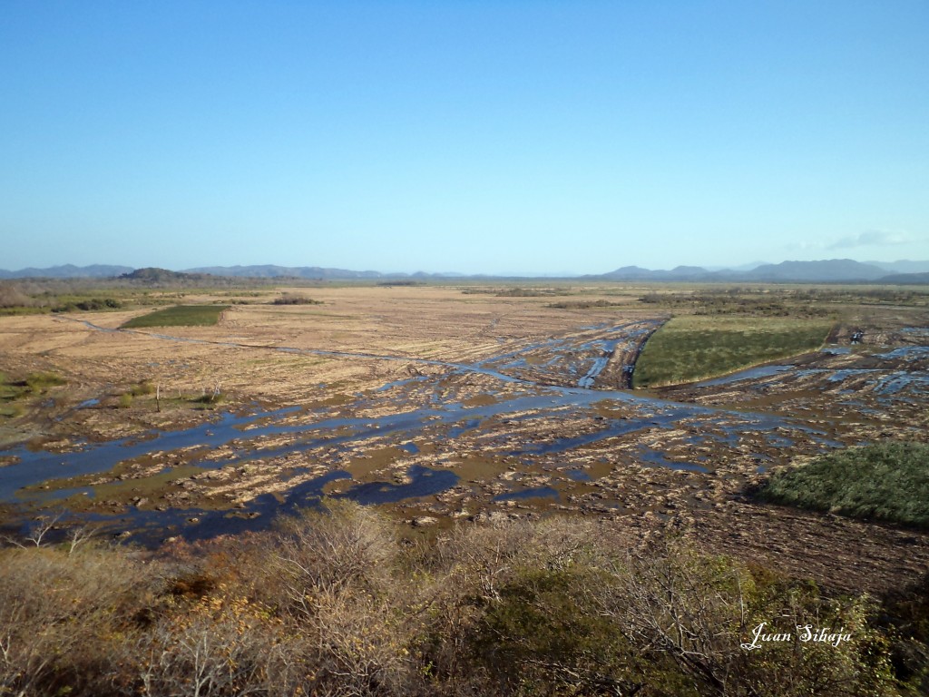 Foto: Lagunas - Paloverde (Guanacaste), Costa Rica