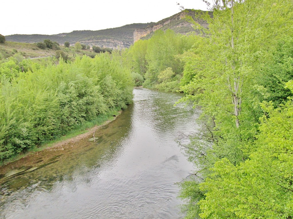 Foto: Rio Ebro - Pesquera de Ebro (Burgos), España