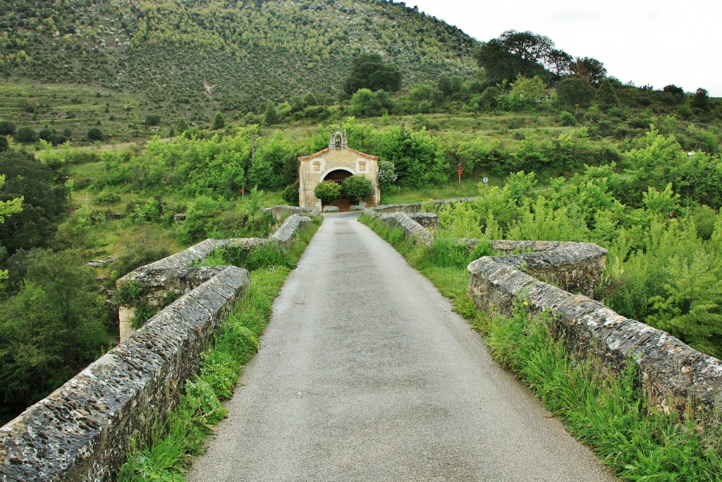 Foto: Puente sobre el Ebro - Pesquera de Ebro (Burgos), España