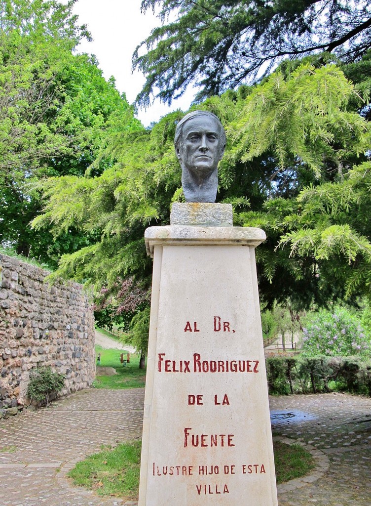 Foto: Hijo ilustre del pueblo - Poza De La Sal (Burgos), España