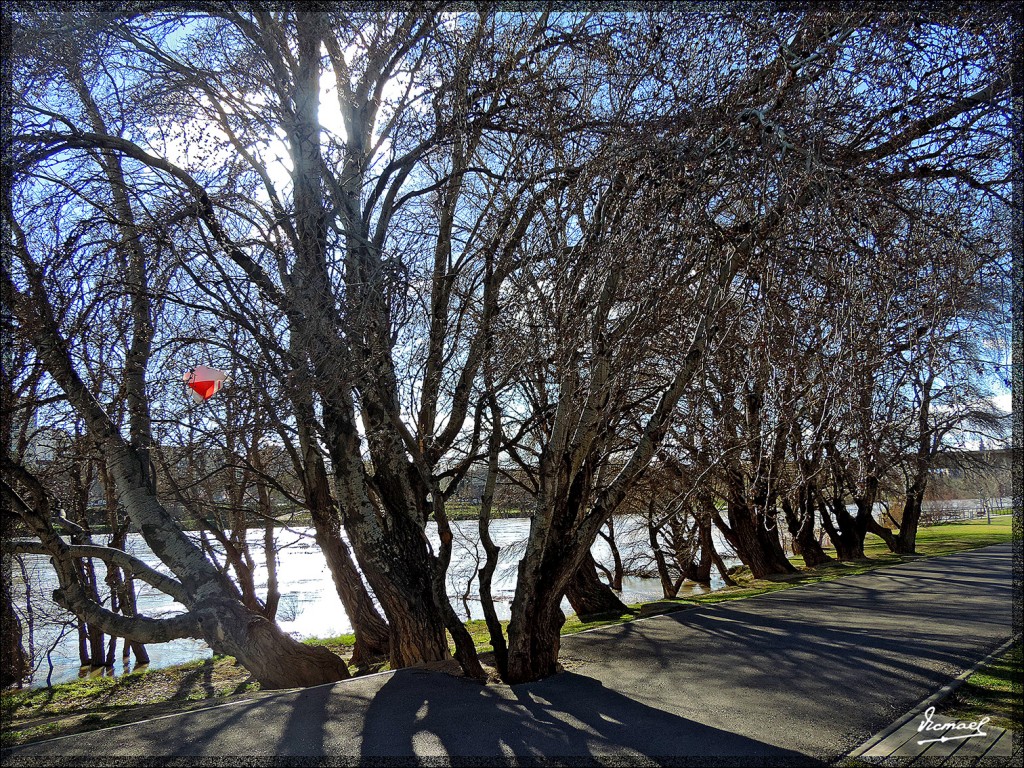 Foto: 140305-56 RIO EBRO - Zaragoza (Aragón), España