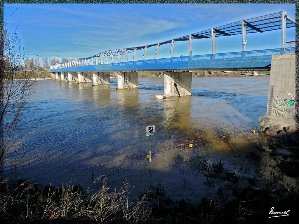 Foto: 140305-63 RIO EBRO - Zaragoza (Aragón), España