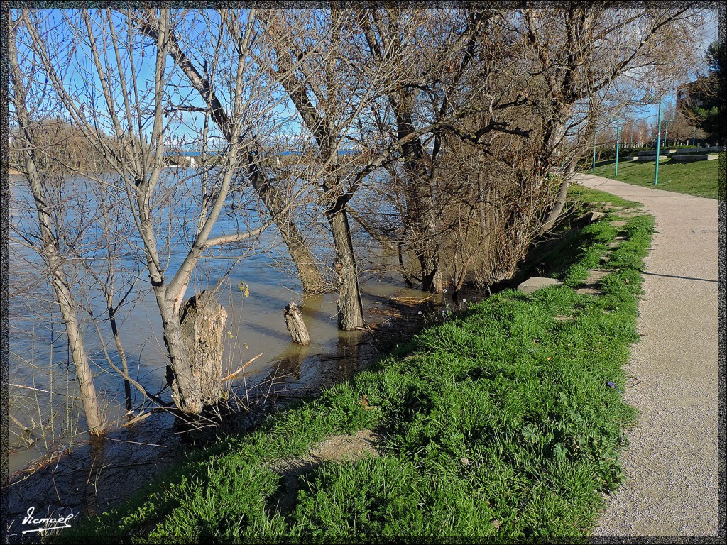 Foto: 140305-64 RIO EBRO - Zaragoza (Aragón), España