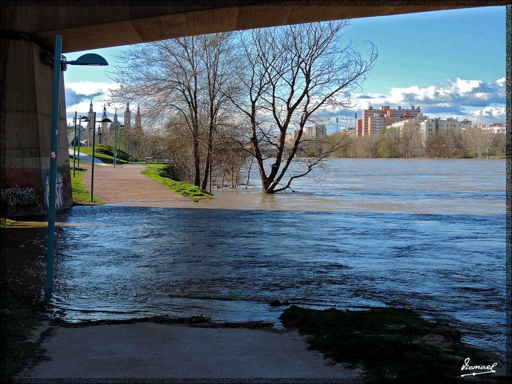 Foto: 140305-66 RIO EBRO - Zaragoza (Aragón), España