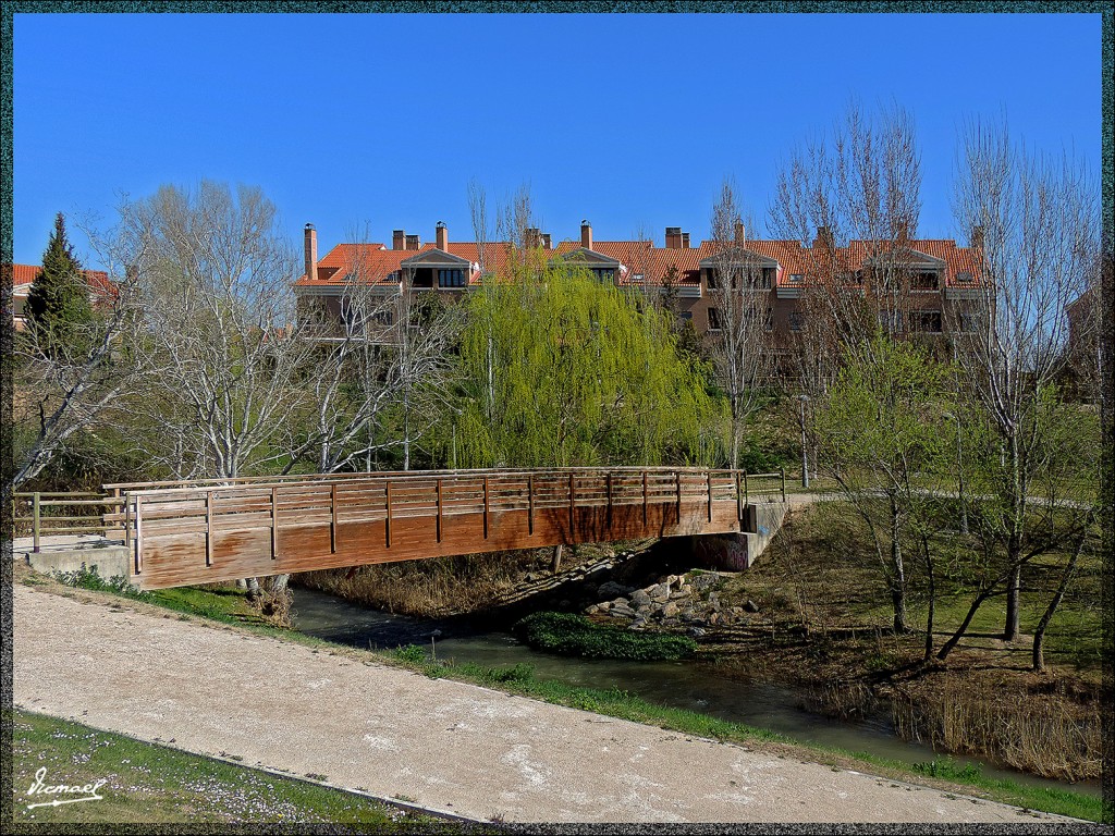 Foto: 140309-21 FUENTE LA JUNQUERA - Zaragoza (Aragón), España