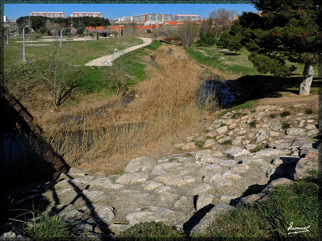 Foto: 140309-24 FUENTE LA JUNQUERA - Zaragoza (Aragón), España