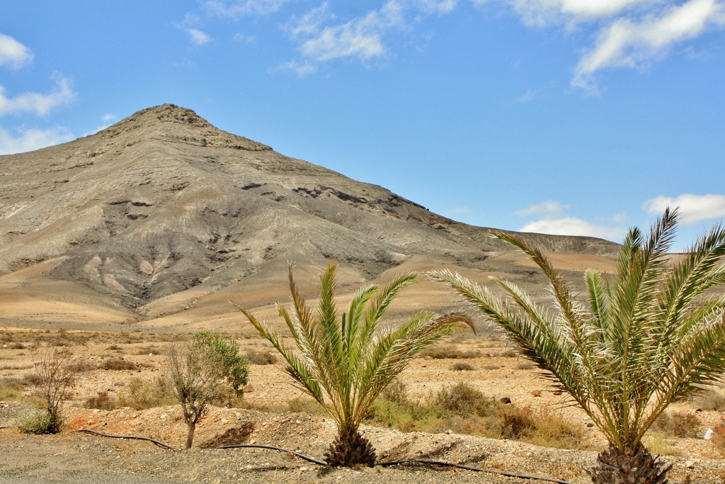 Foto: Paisaje - Tefia (Fuerteventura) (Las Palmas), España