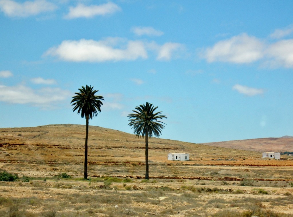 Foto: Paisaje - Tefia (Fuerteventura) (Las Palmas), España