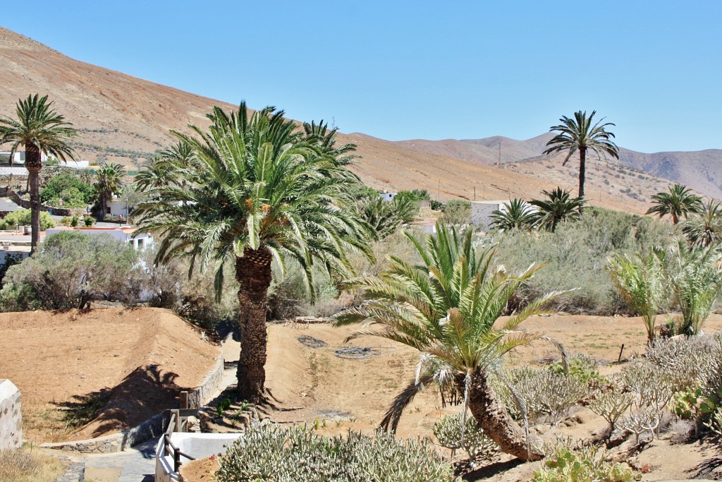 Foto: Paisaje - Betancuria (Fuerteventura) (Las Palmas), España