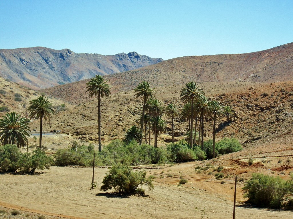 Foto: Paisaje - Pájara (Fuerteventura) (Las Palmas), España