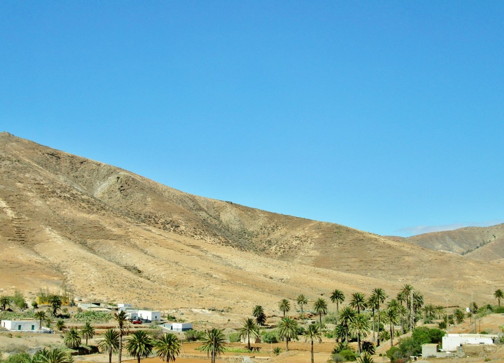 Foto: Paisaje - Pájara (Fuerteventura) (Las Palmas), España