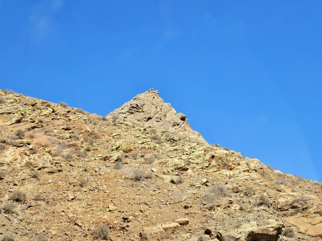 Foto: Paisaje - Pájara (Fuerteventura) (Las Palmas), España