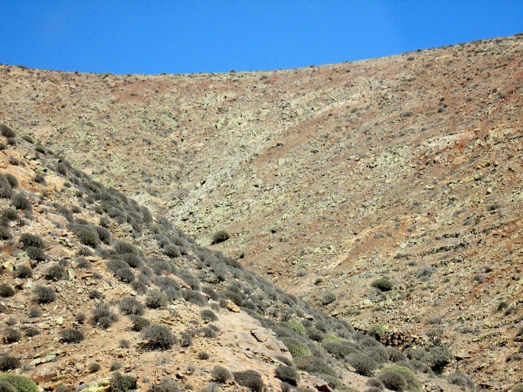 Foto: Paisaje - Pájara (Fuerteventura) (Las Palmas), España