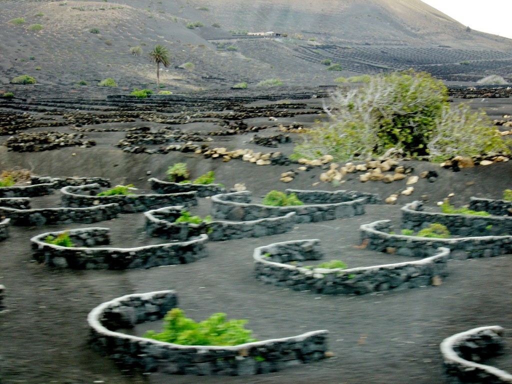 Foto: Paisaje - San Bartolomé (Lanzarote) (Las Palmas), España