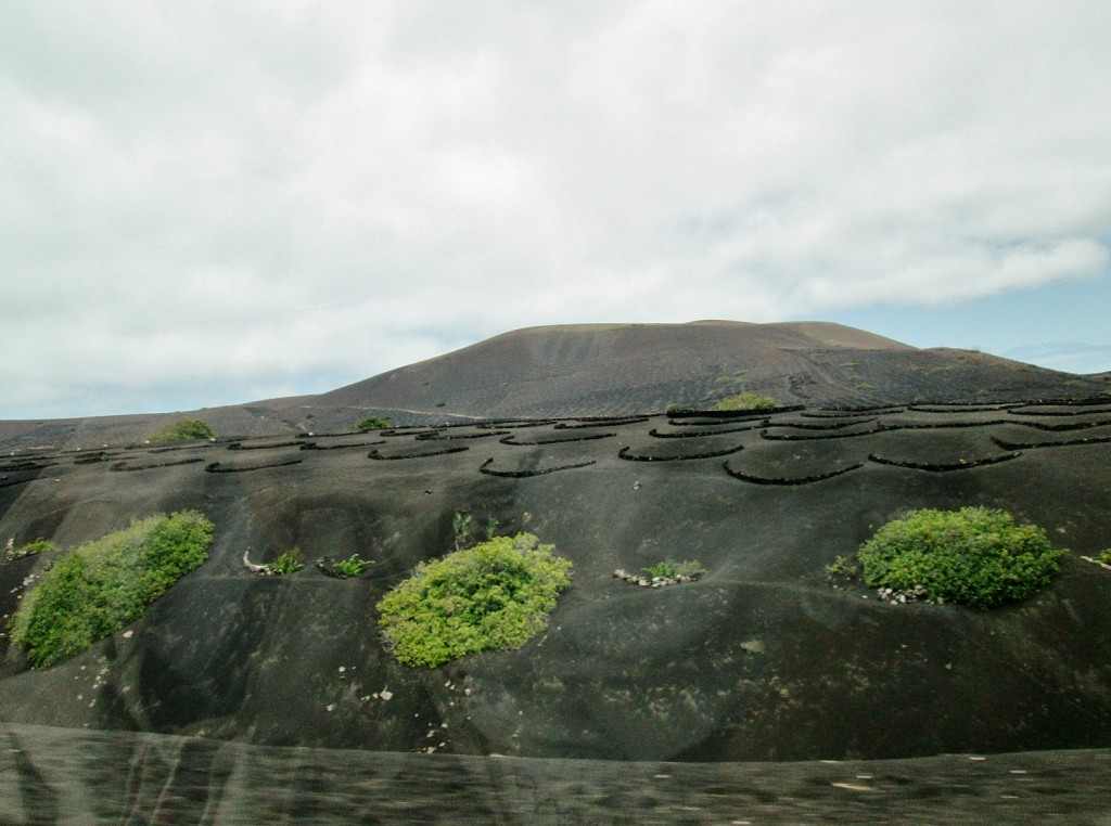 Foto: Paisaje - San Bartolomé (Lanzarote) (Las Palmas), España