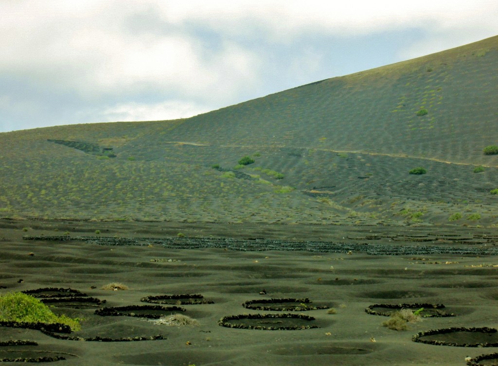 Foto: Paisaje - San Bartolomé (Lanzarote) (Las Palmas), España