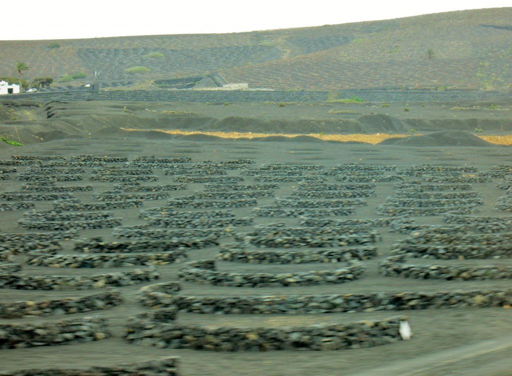 Foto: Paisaje - San Bartolomé (Lanzarote) (Las Palmas), España