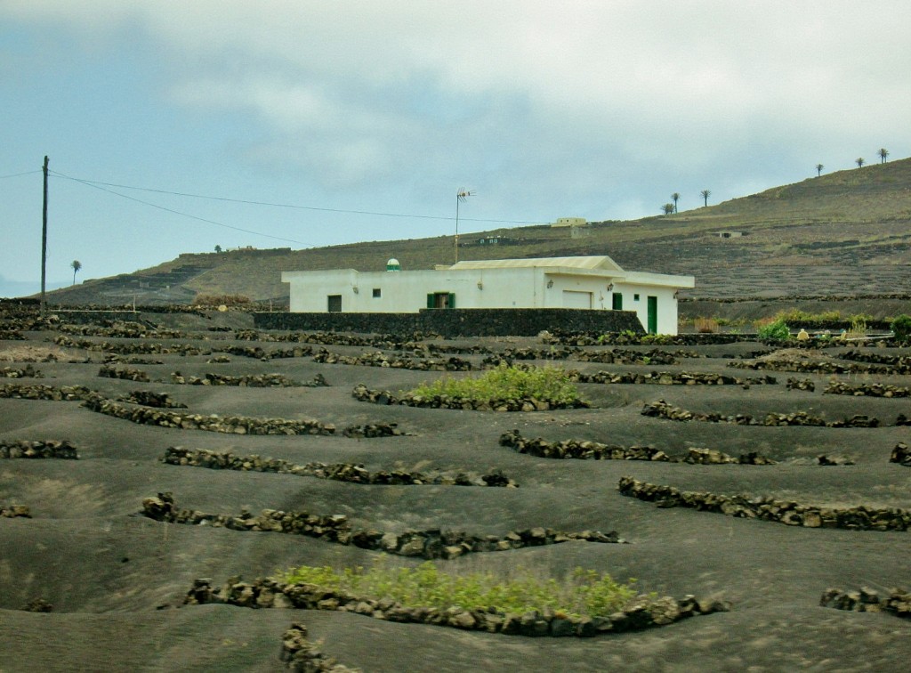 Foto: Paisaje - San Bartolomé (Lanzarote) (Las Palmas), España