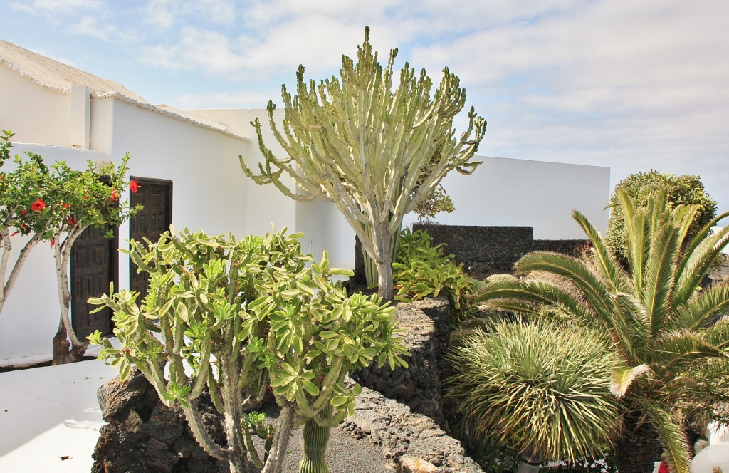 Foto: Fundación Cesar Manrique - Haría (Lanzarote) (Las Palmas), España