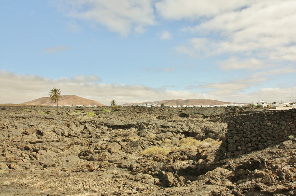 Foto: Paisaje - Haría (Lanzarote) (Las Palmas), España