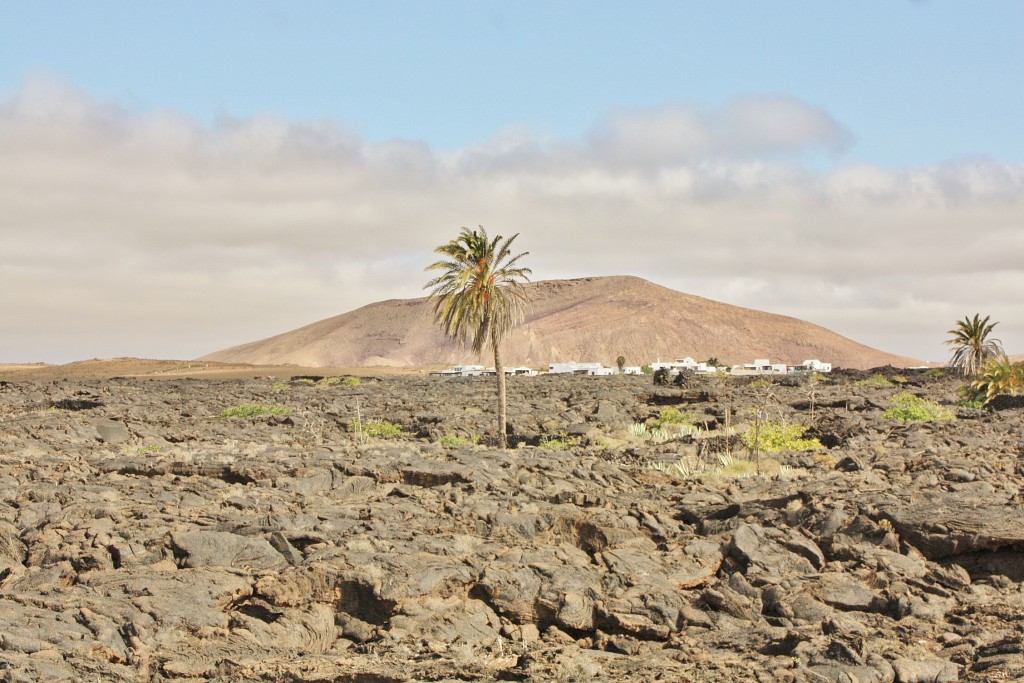 Foto: Paisaje - Haría (Lanzarote) (Las Palmas), España