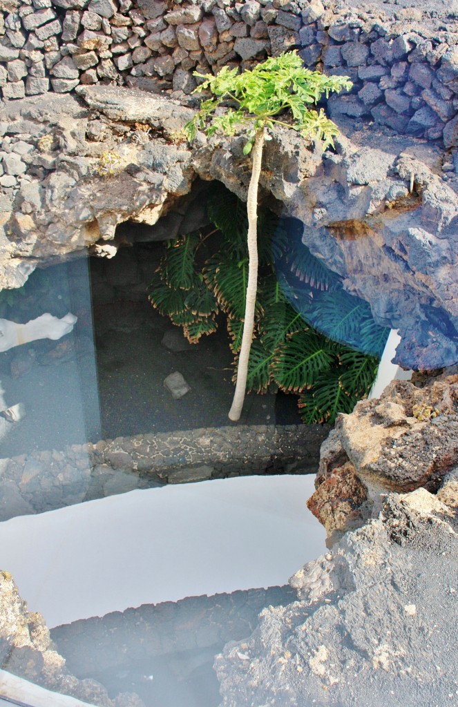 Foto: Fundación Cesar Manrique - Haría (Lanzarote) (Las Palmas), España