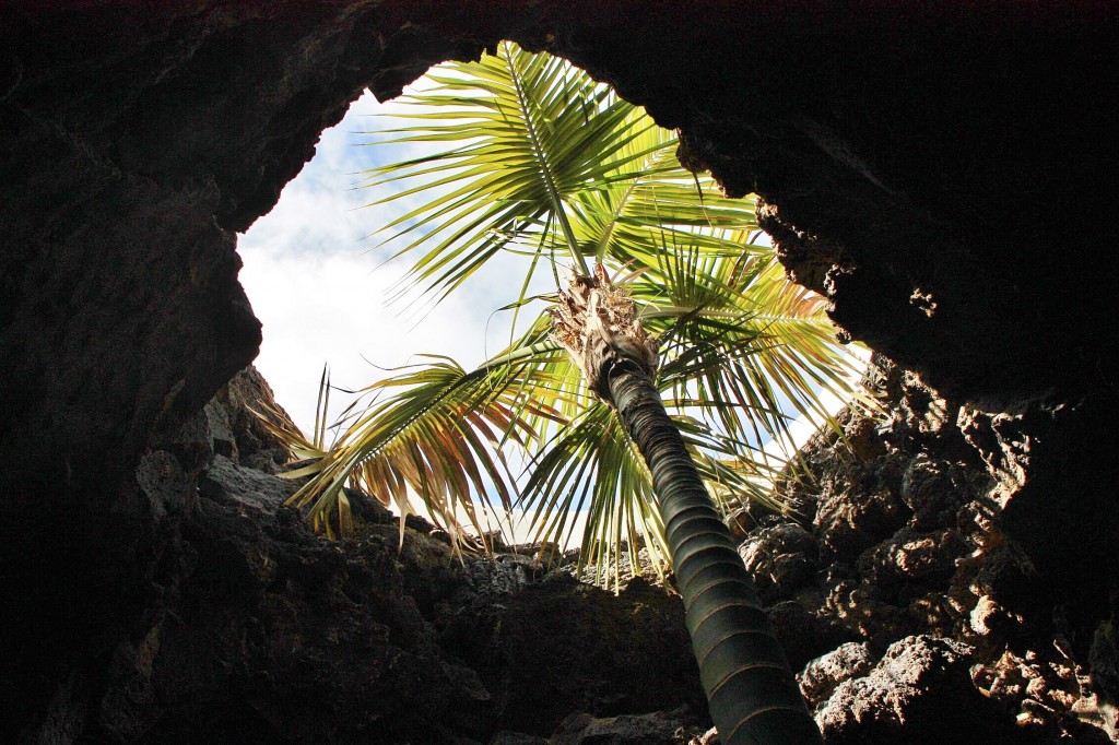 Foto: Fundación Cesar Manrique - Haría (Lanzarote) (Las Palmas), España