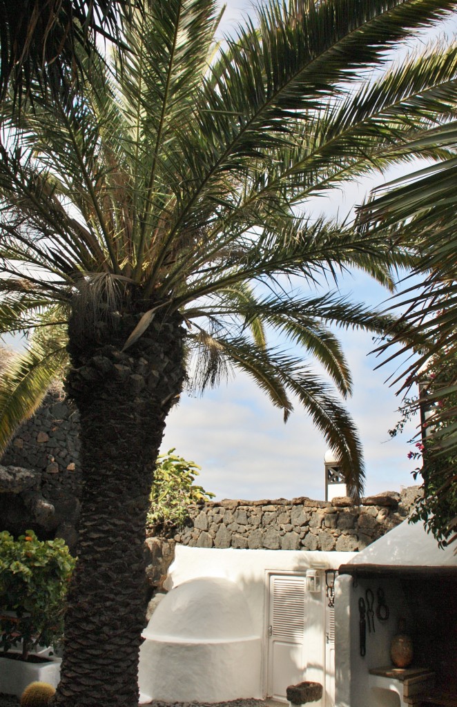 Foto: Fundación Cesar Manrique - Haría (Lanzarote) (Las Palmas), España