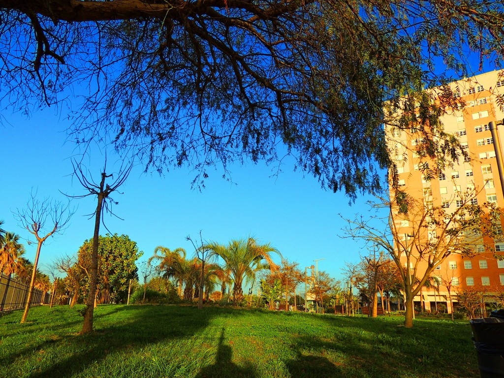 Foto: Parque Celestino Mutis - Cádiz (Andalucía), España