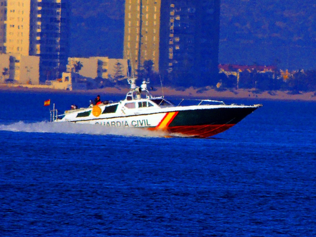 Foto: Persecución en la Bahía - Cádiz (Andalucía), España