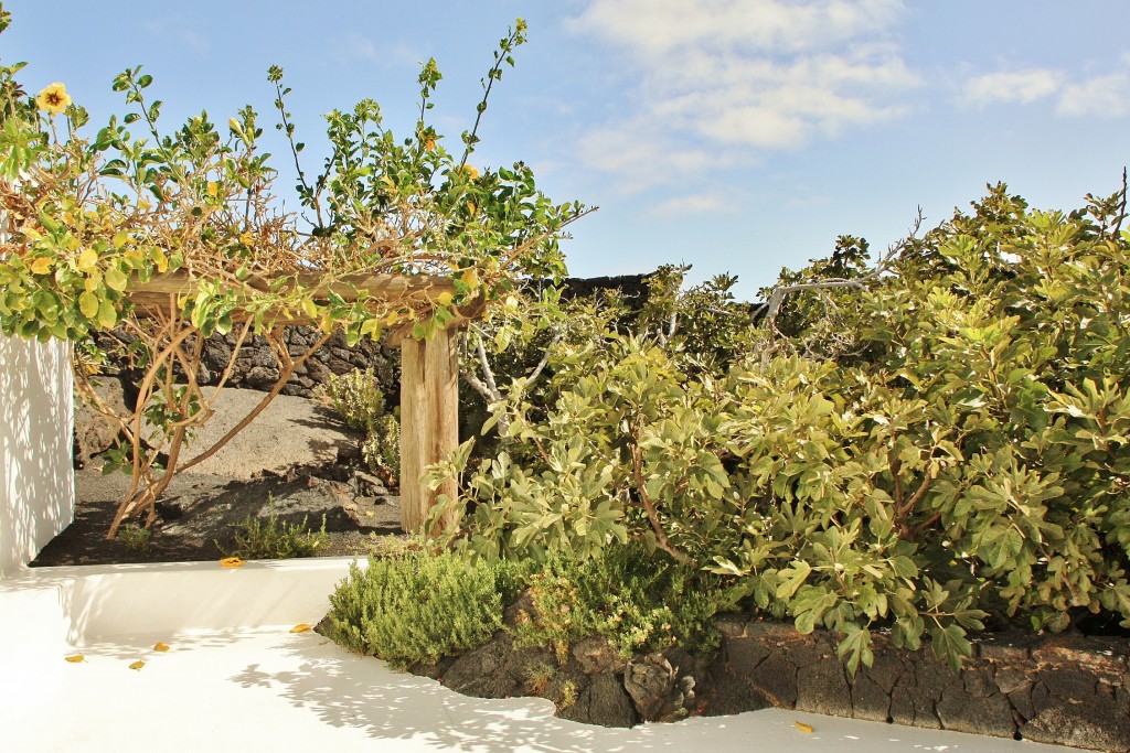 Foto: Fundación Cesar Manrique - Haría (Lanzarote) (Las Palmas), España