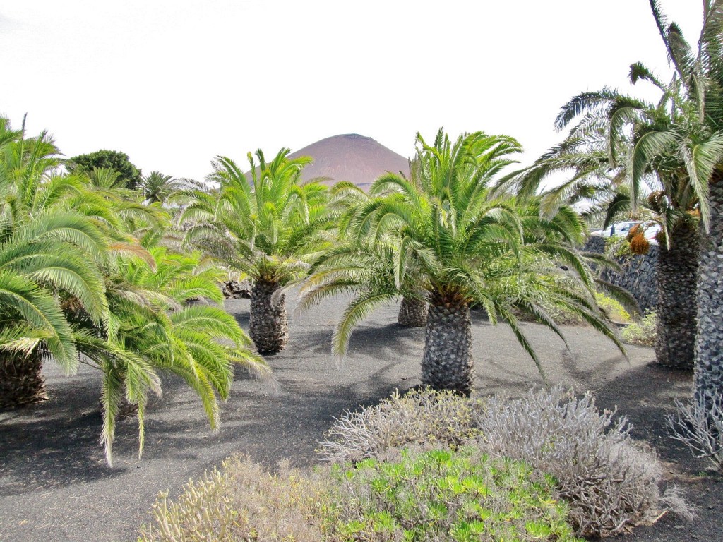 Foto: Fundación Cesar Manrique - Haría (Lanzarote) (Las Palmas), España