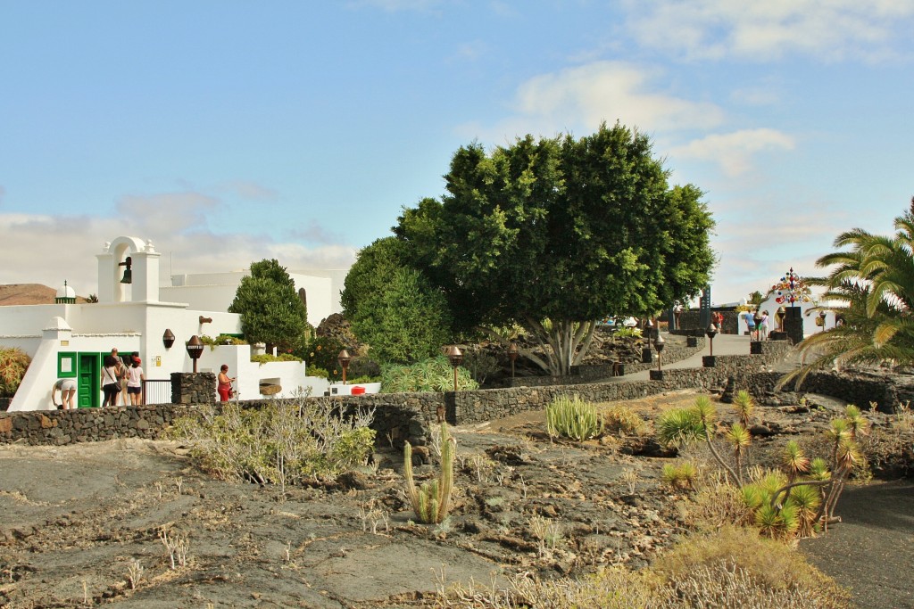 Foto: Paisaje - Haría (Lanzarote) (Las Palmas), España