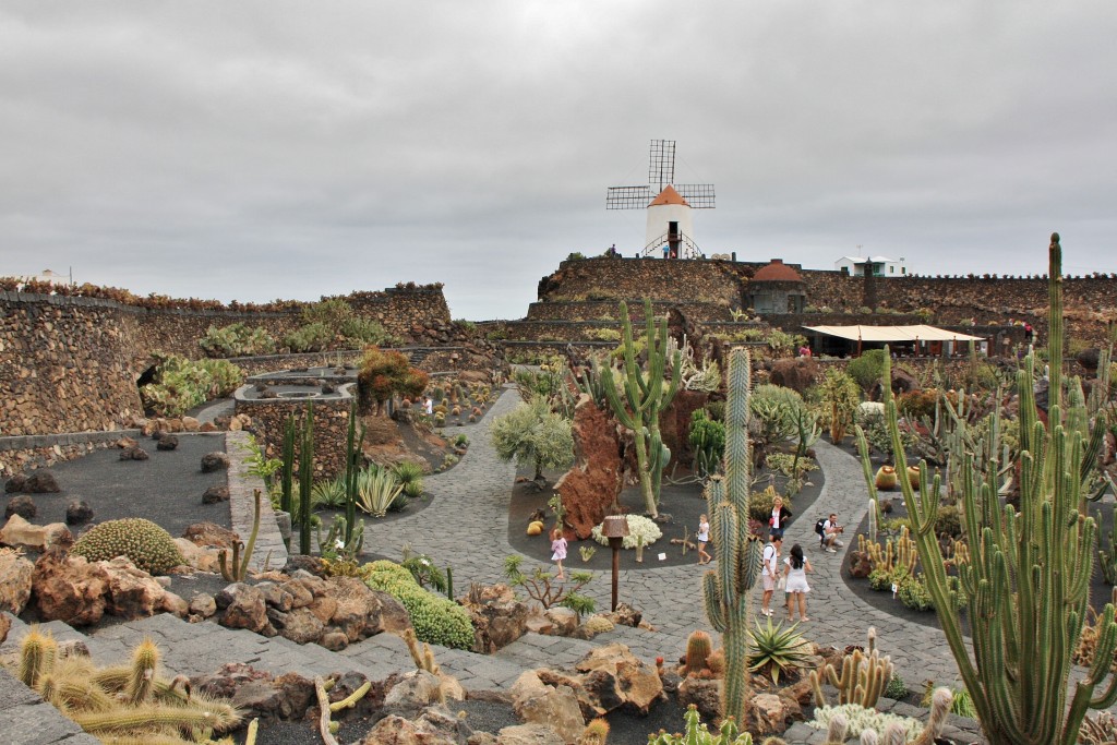 Foto: Jardín de Cactus - Guatiza (Lanzarote) (Las Palmas), España