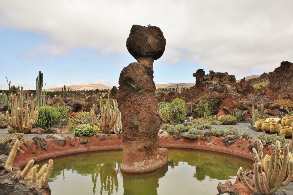 Foto: Jardín de Cactus - Guatiza (Lanzarote) (Las Palmas), España